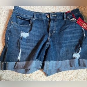 Jennifer Lopez Shorts